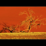 Púšt Namib II.
