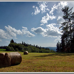 ... říkali, že nás večer odvezou :-(