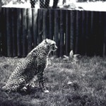 Blízká setkání I