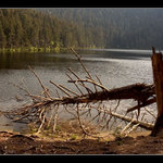 Opět podvečerní procházka