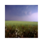 The Catcher in the Rye