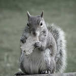 ::polední pauza na oběd:::