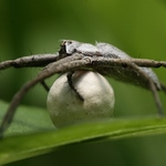 ..uválej si svůj kokon..