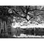 ...ještě tu pár let budu