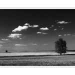 co ti mám povídat...