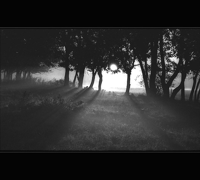 Stromem a stínem protínám ráno II.