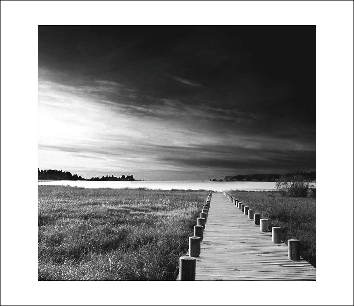 ......VOLÁNÍ......