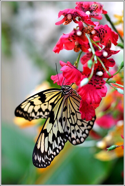 Beauty of nature