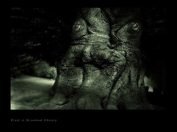 Z časů kdy i les měl svého strážce...