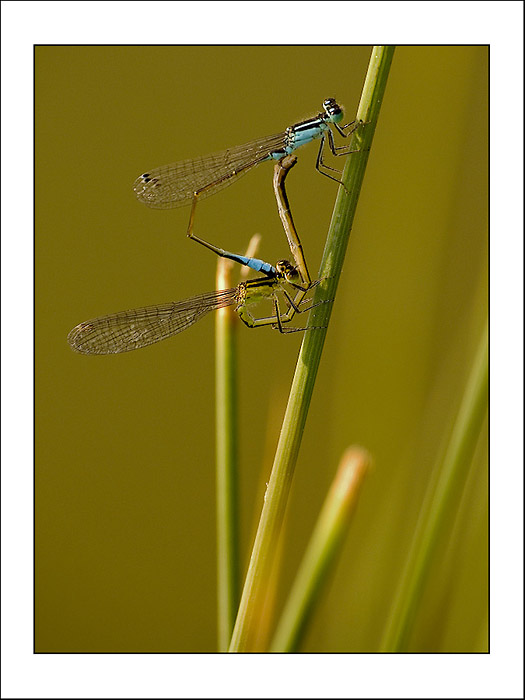 Prý se tomu říká láska!