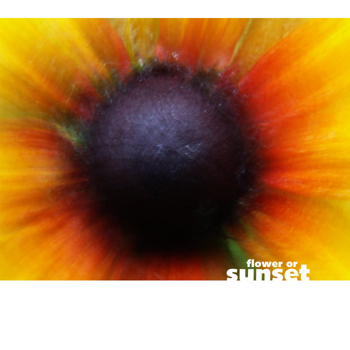 flower or sunset
