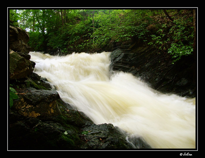 Na Mlejnku