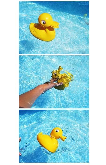 \'\'Duck murder\'\'