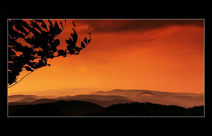 Pohľad z Veľkého Griča