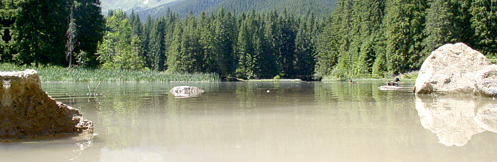 Vrbické pleso