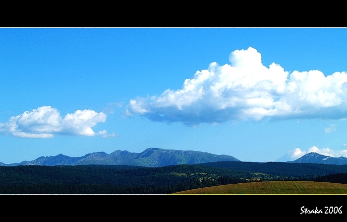Roháče