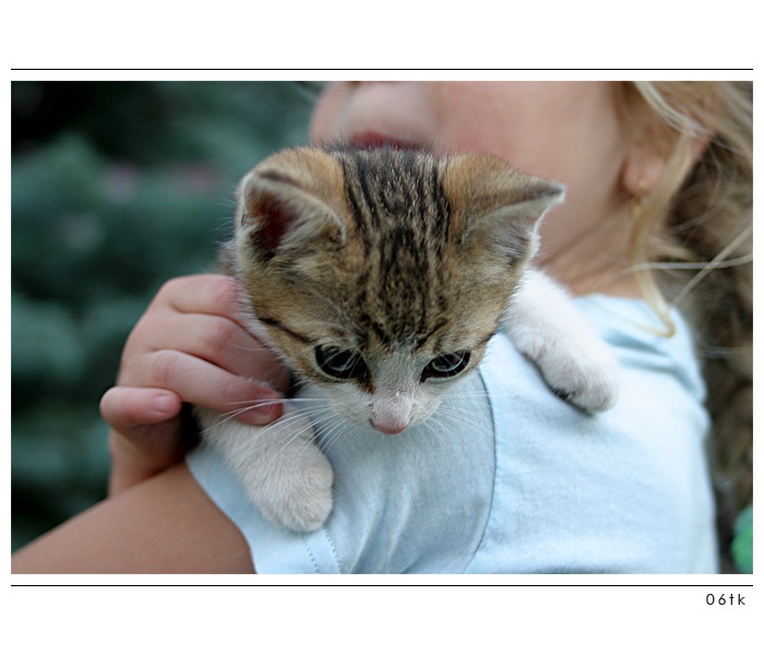 * Kočička 1