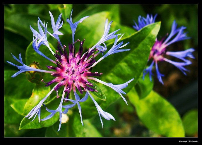 Proste se mi libila...