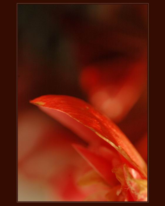...red...