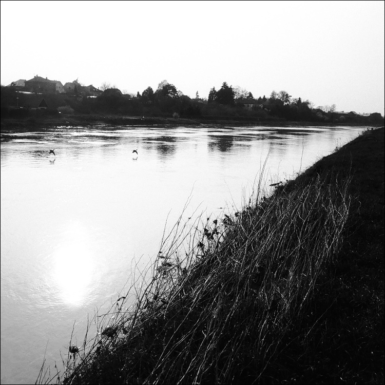 Labe III