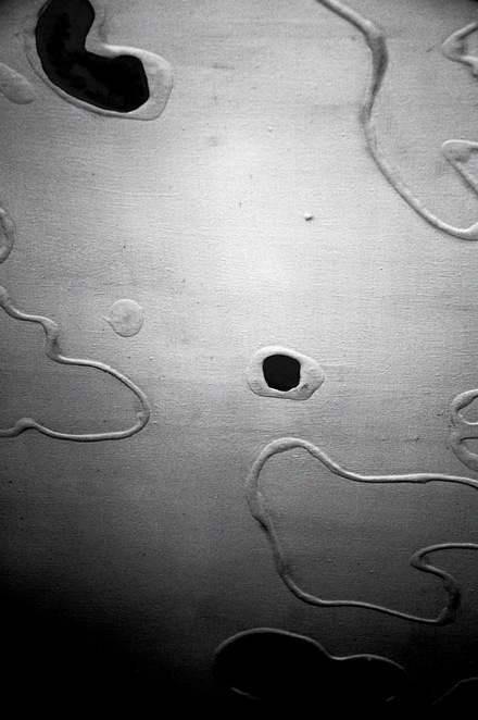 a topic for a headshrinker