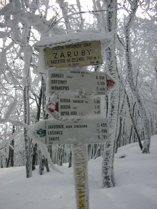 Kam teraz?