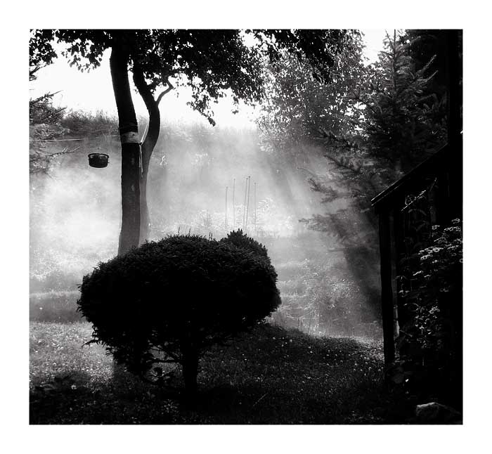 Foggy?