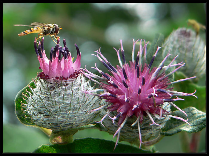 ...mezipřistání...