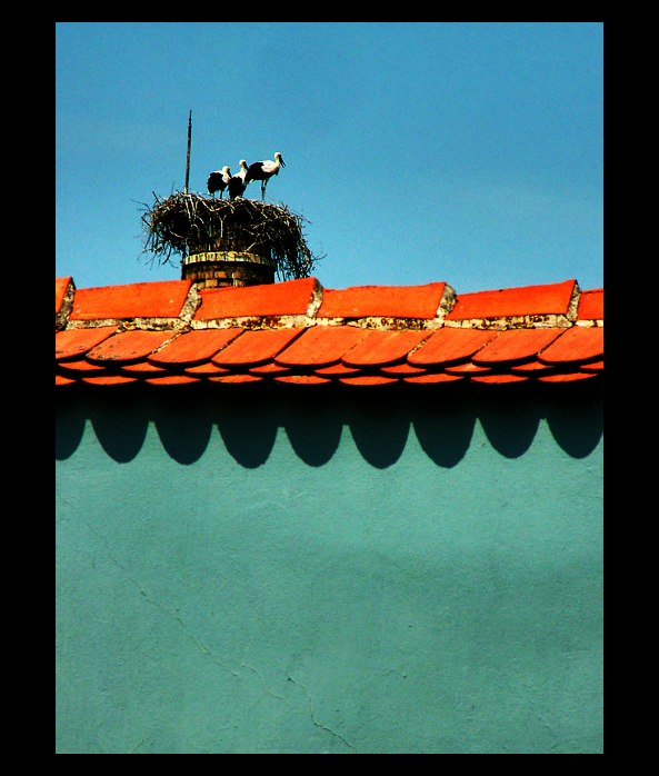 Storks company