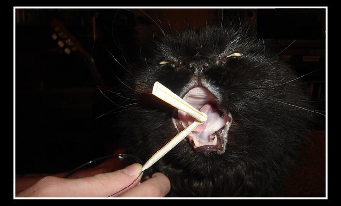 Otesánek - sním všechno!