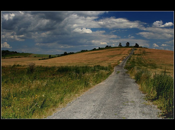 ...cesta k vrcholu...
