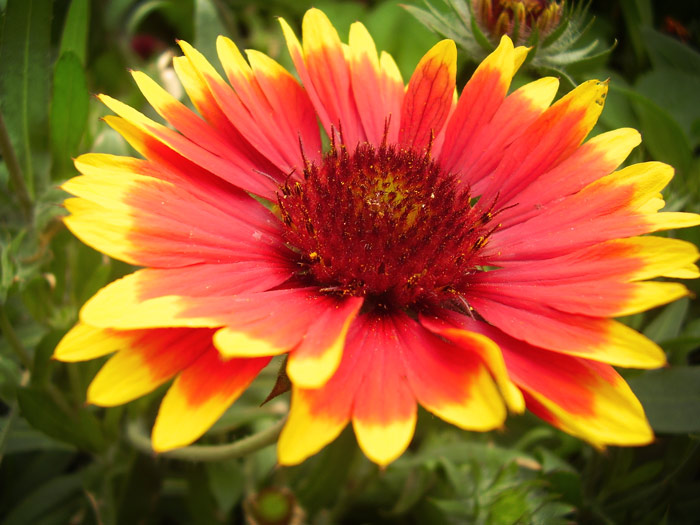 Vždy s otevřenou náručí