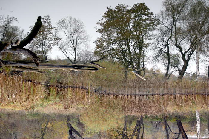 Procesy kvasné a hnilobné ...