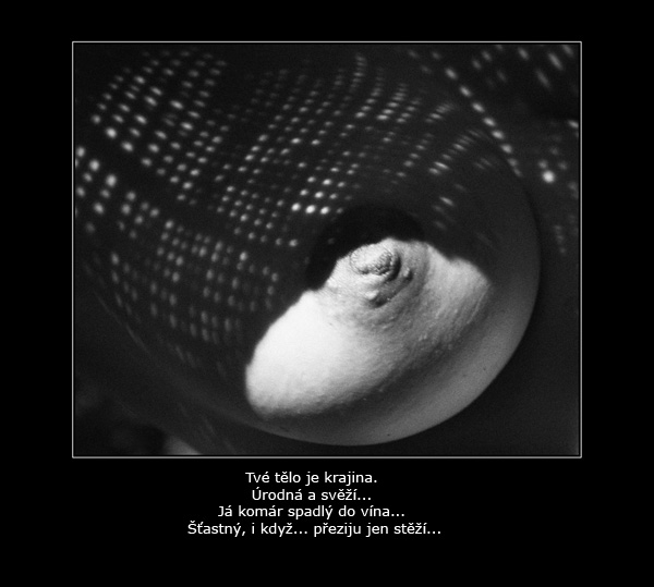 Jsem komar spadly do vina... Stastny, i kdyz preziju jen stezi...