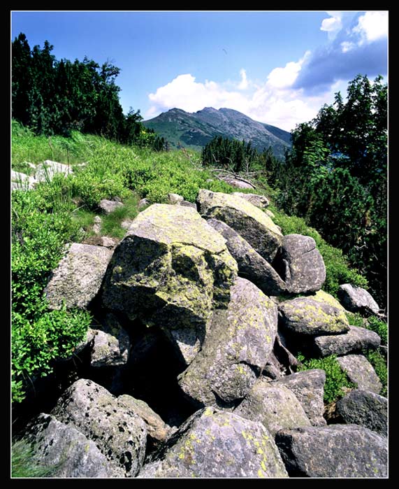 Cestou na Ďumbier..