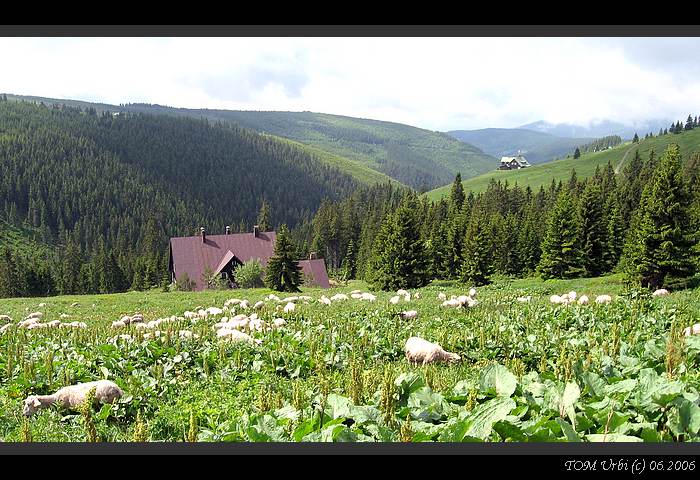 Krkonošské kopečky