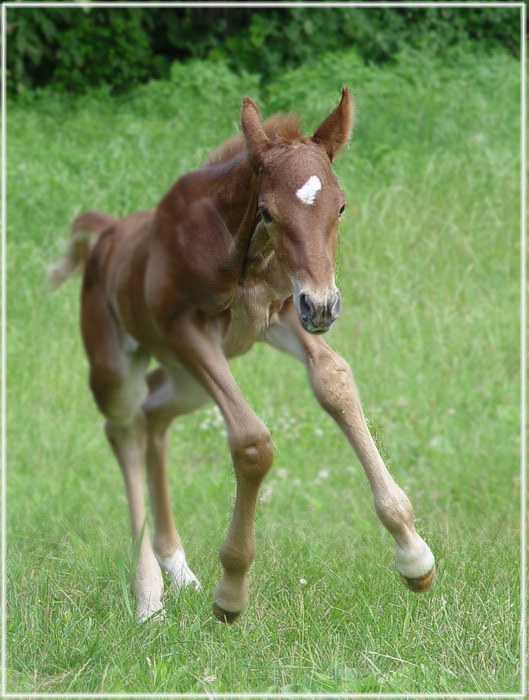 jsem rád na světě!