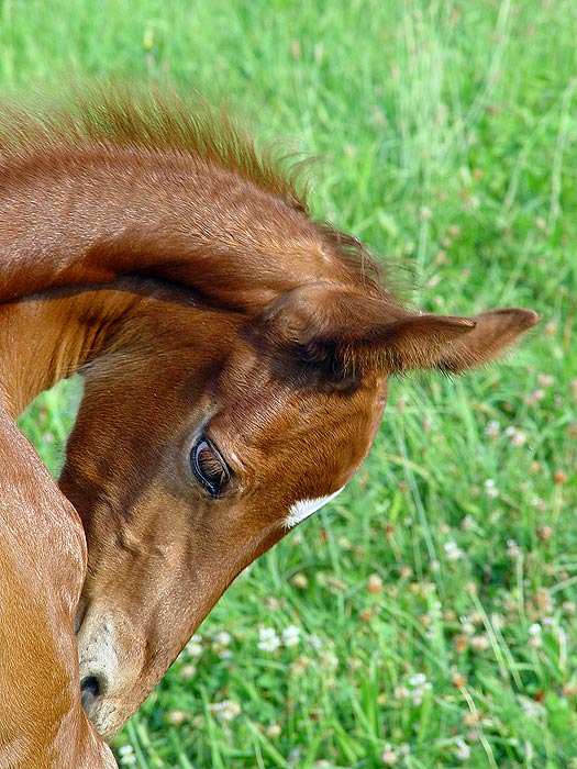 copak mě to kouslo?...