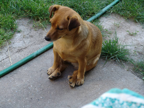 RELAX PO NEDEĽNOM OBEDE