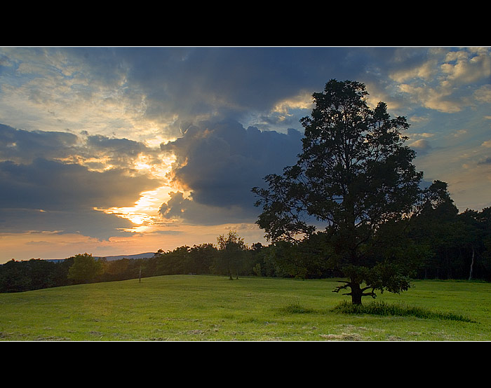 sunset