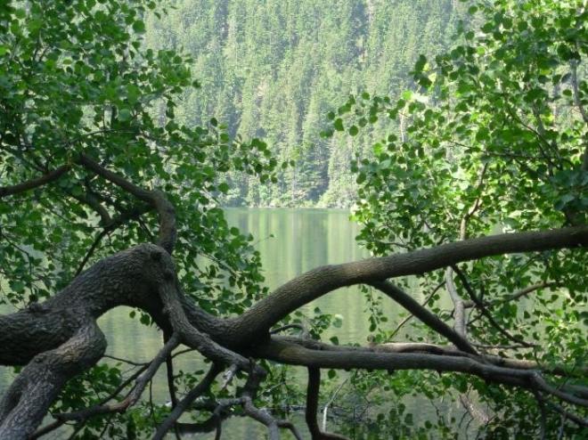 Černé jezero