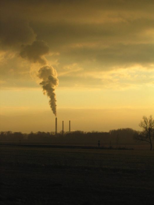 Industry