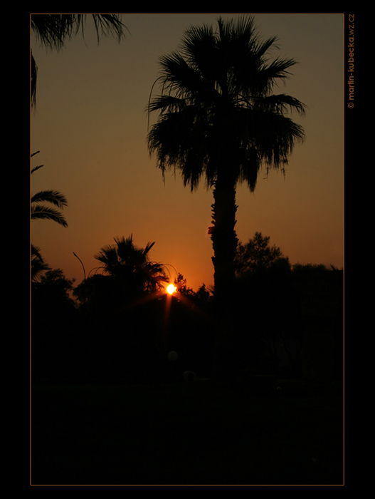 Tunis II