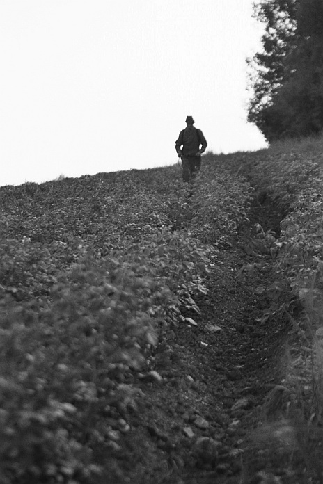 Kdesi v poli B&W,.....