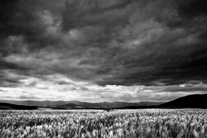Back to the roots :: Návrat ke kořenům
