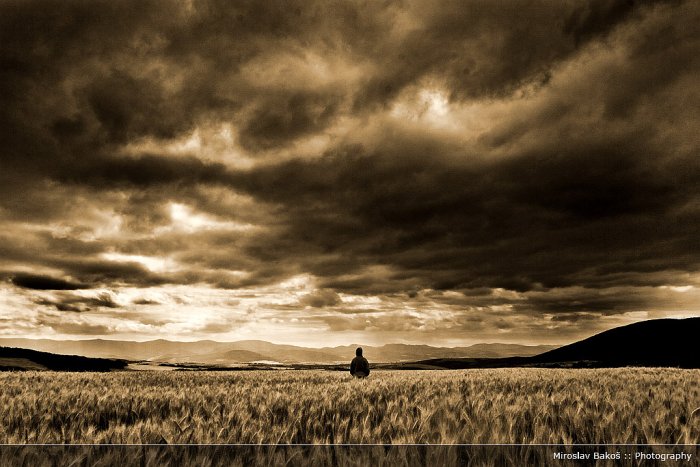 :: no man`s land ::