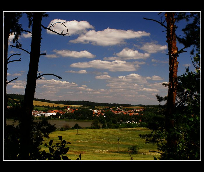 Přes stromy na Mýto