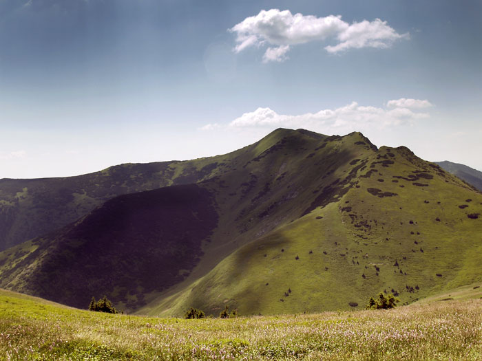 Ty horské louky.... Malá Fatra