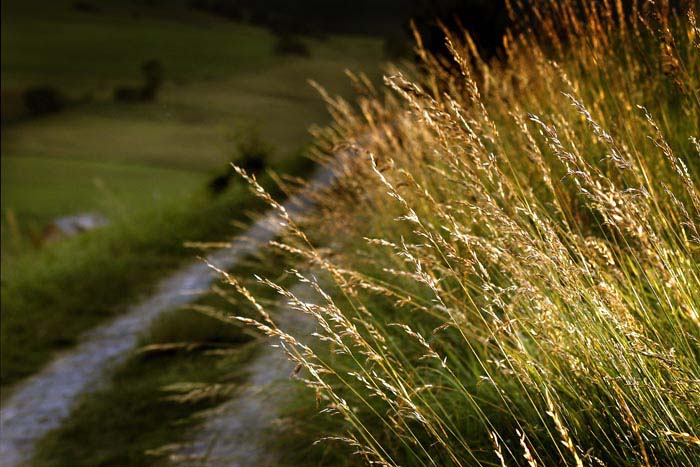 Do světla nebo do tmy?