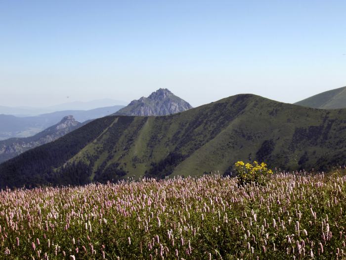 Malá Fatra
